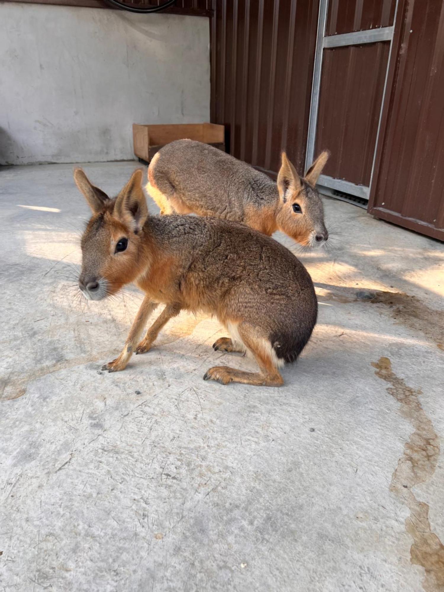 River Forest Leisure Farm Dongshan (Yilan) Exterior foto